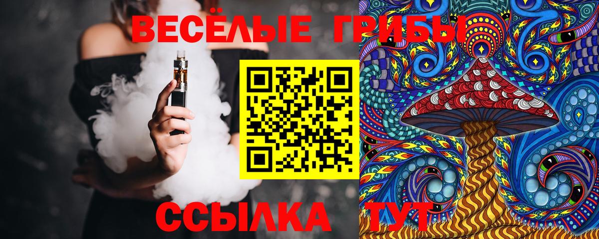 Галлюциногенные грибы Psilocybine cubensis Нижний Тагил