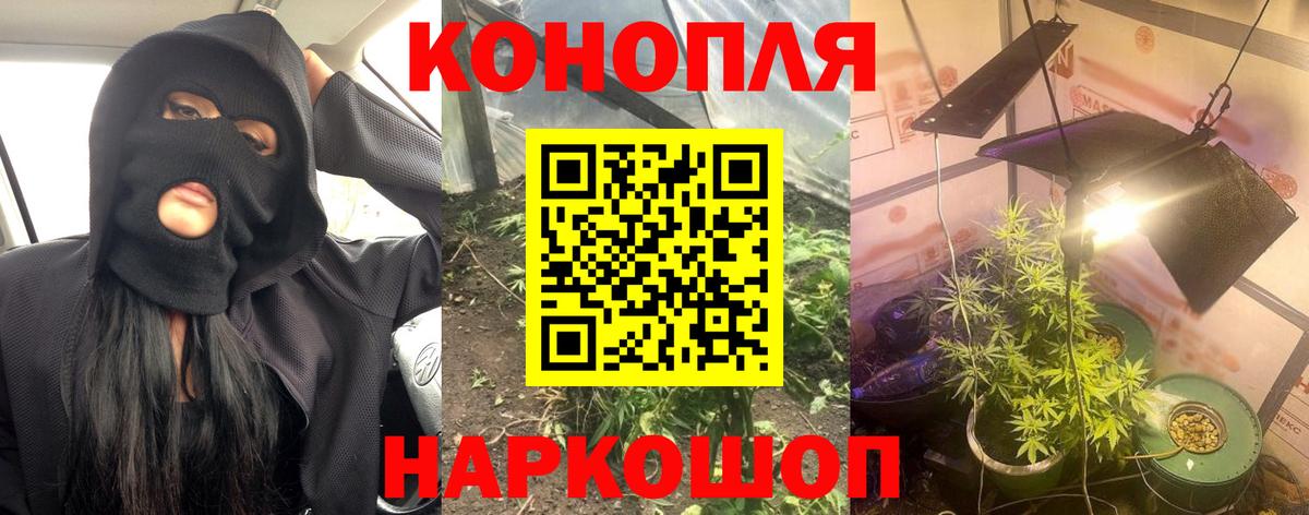 Шишки марихуана марихуана Нижний Тагил